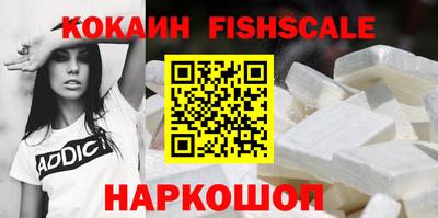 стаф Можга