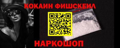 стаф Можга