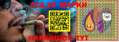 стаф Можга
