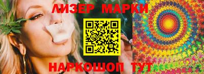 стаф Можга