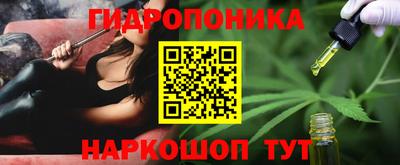 стаф Можга