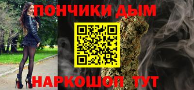 стаф Можга