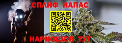 СК Моздок