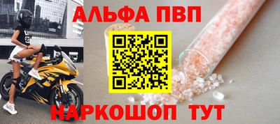 стаф Можга