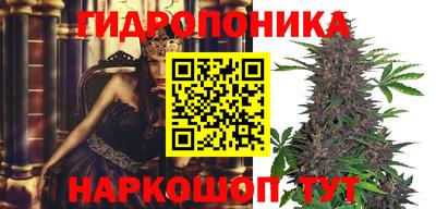 СК Моздок