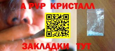 стаф Можга